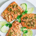 Cilantro Verde Marinated Salmon