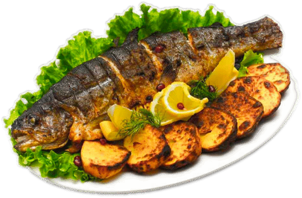 Apollo Fish